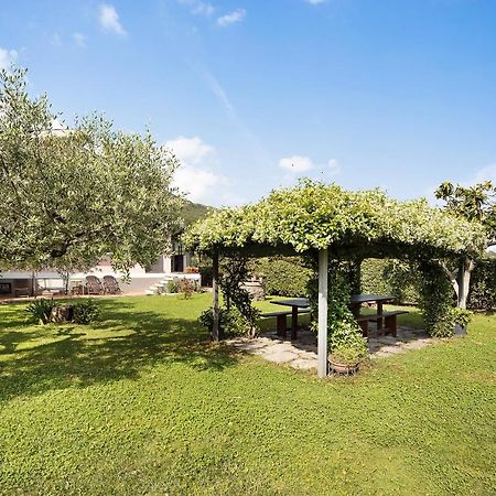 Mansarda Albero Verde Con Piscina Casanova Lerrone Dış mekan fotoğraf