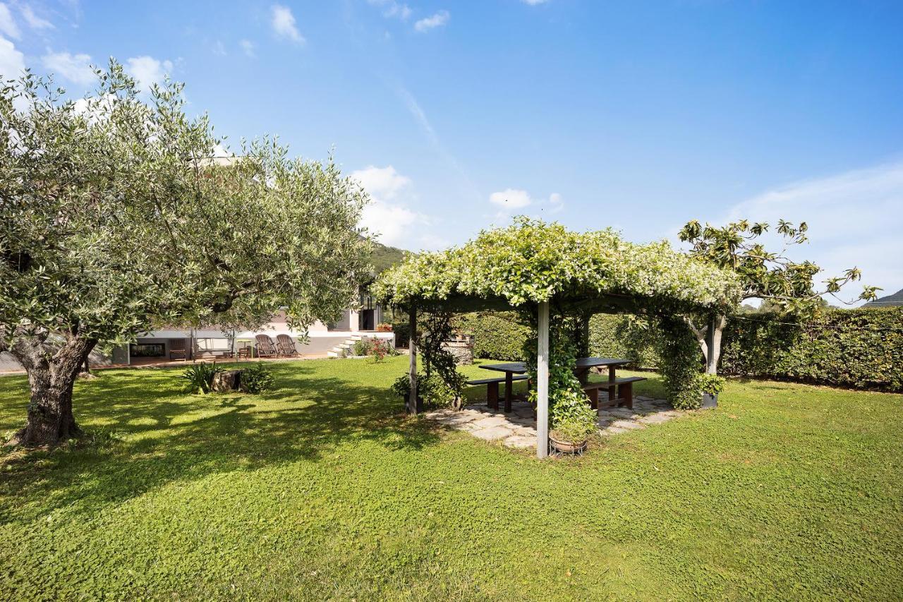 Mansarda Albero Verde Con Piscina Casanova Lerrone Dış mekan fotoğraf