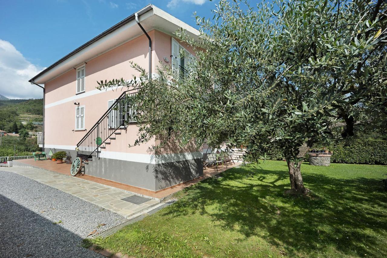 Mansarda Albero Verde Con Piscina Casanova Lerrone Dış mekan fotoğraf